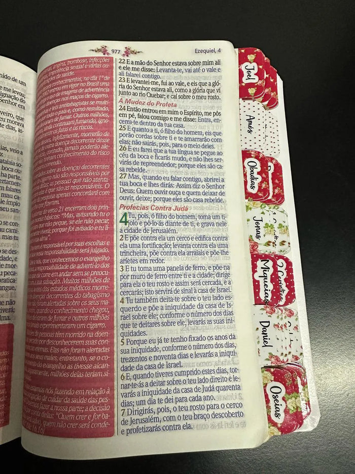 Bíblia Da Mulher Sábia - ESTUDO - Imagem 2