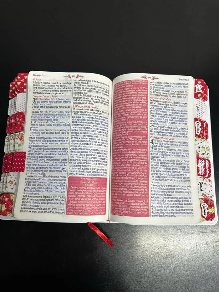 Bíblia Da Mulher Sábia - ESTUDO - Imagem 3