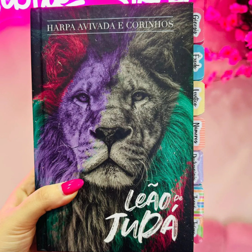 Bíblia da Pregadora Fiel / Bíblia Da Mulher Sábia / Bíblia Sagrada / Letras Grandes e Jumbo - Imagem 9