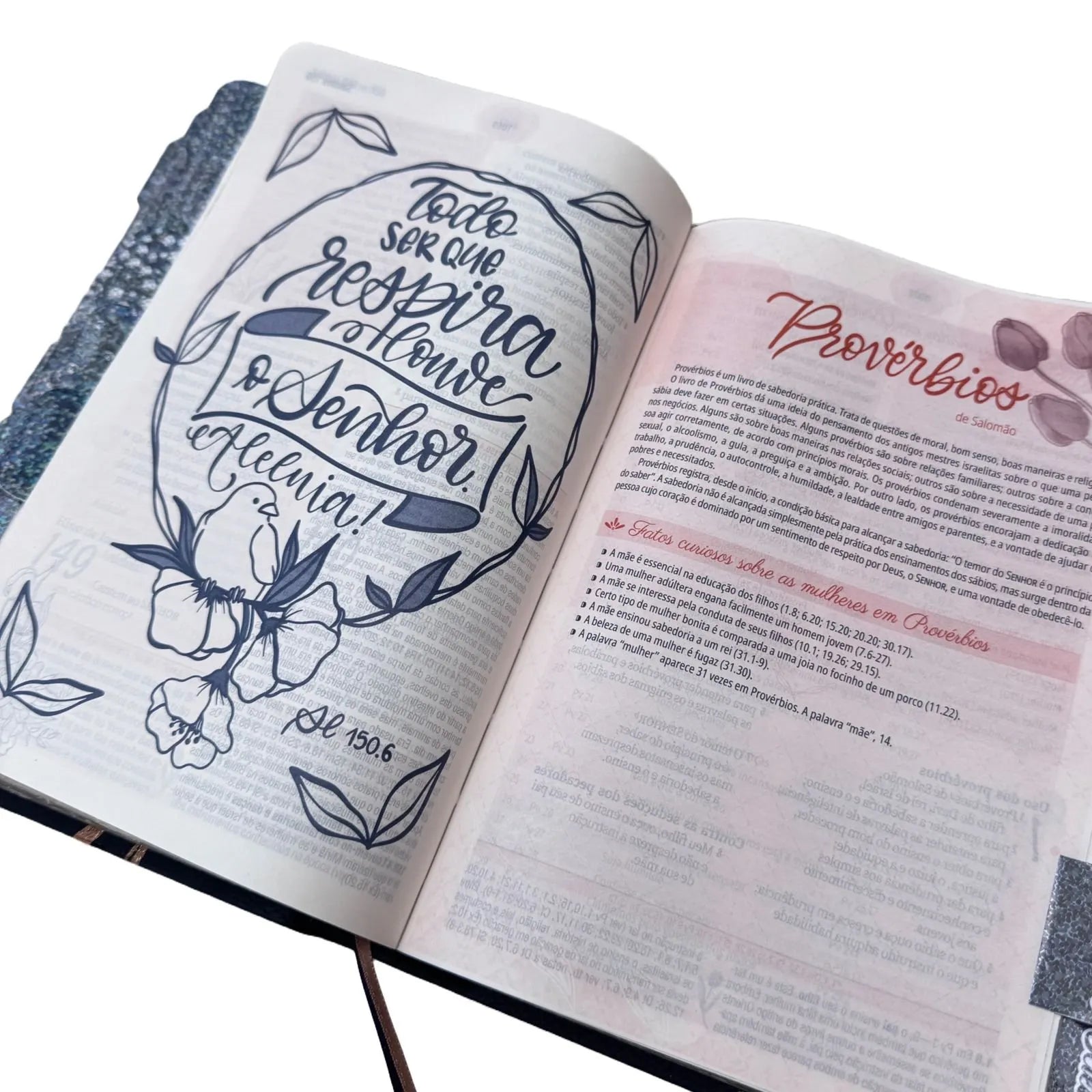 Bíblia de Estudo Mulher Preta Arc com Abas Preta Gliter Sbb - Imagem 2