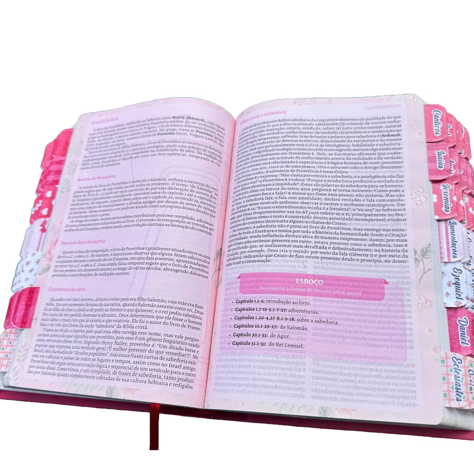 Bíblia de Estudo da Pregadora Vermelha Fiel Cpp Full Color Arc - Imagem 3